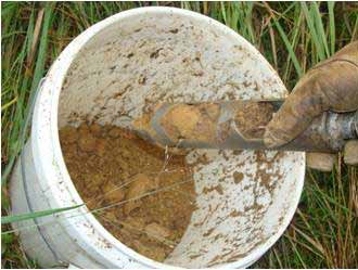 Thoroughly mix soil cores in a bucket to produce a more representative sample.